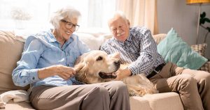 Senior man and women in couch cuddling a golden dog